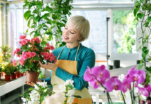 Как выбрать комнатные растения