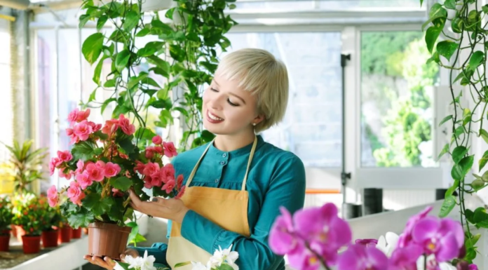 Как выбрать комнатные растения