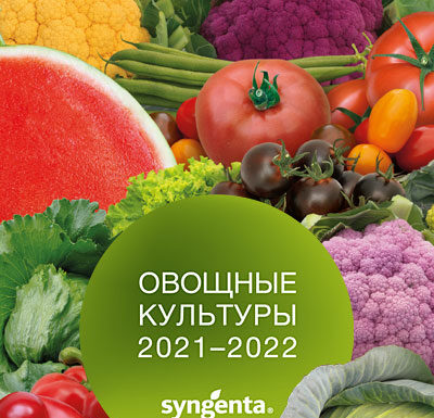 Семена овощей Syngenta®