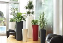 Выбор напольного кашпо