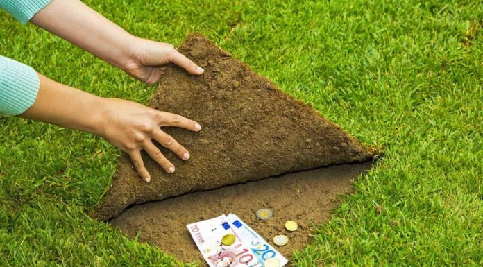 Оценка земли: что это за услуга и кому она обычно требуется