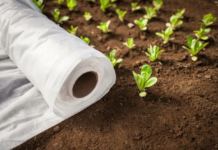 Укрывной геотекстиль: плюсы и применение в ландшафтном дизайне