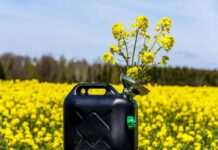 Биодизель: будущее или временная мода?