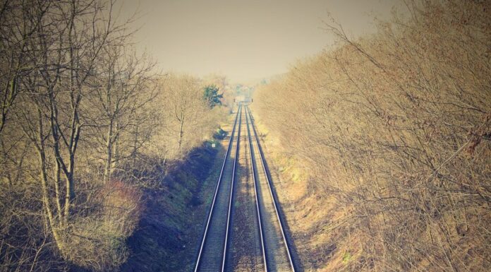 Особенности железнодорожных грузоперевозок